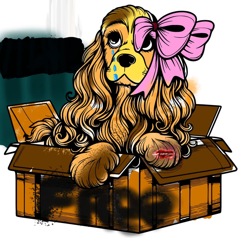 a spaniel american cocker with a beautiful bow coming out if a box realistic cute