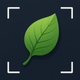 Plant Identifier - SnapLeaf