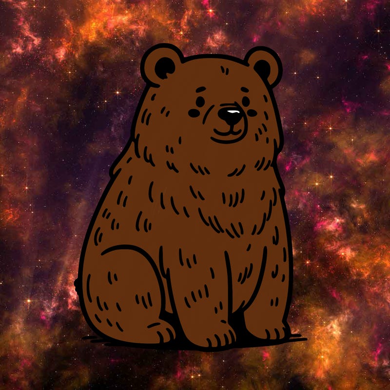 bear