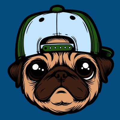 pug with flat bill hat