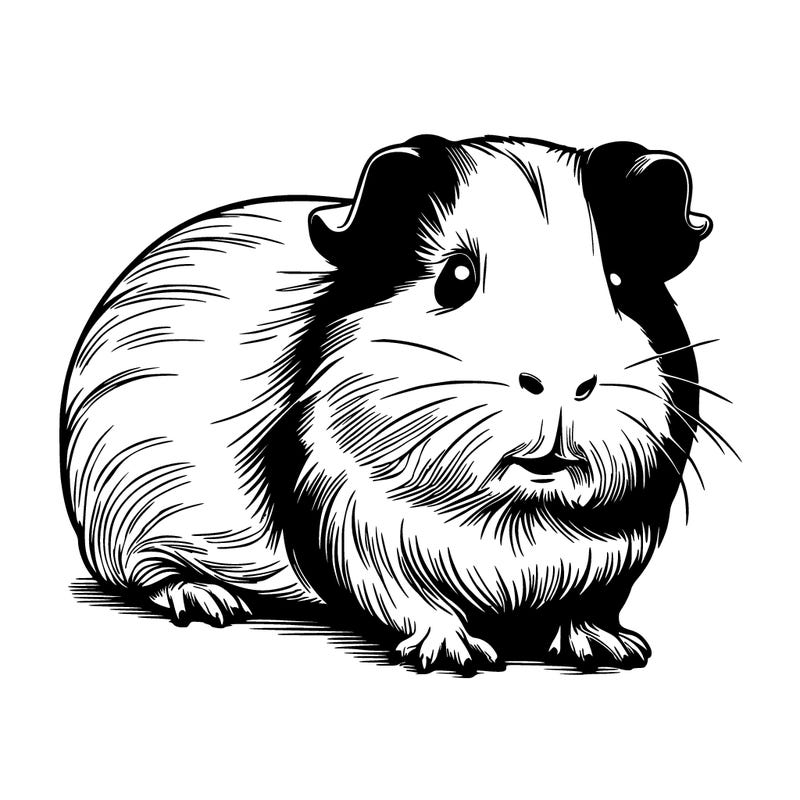 guinea pig realistic