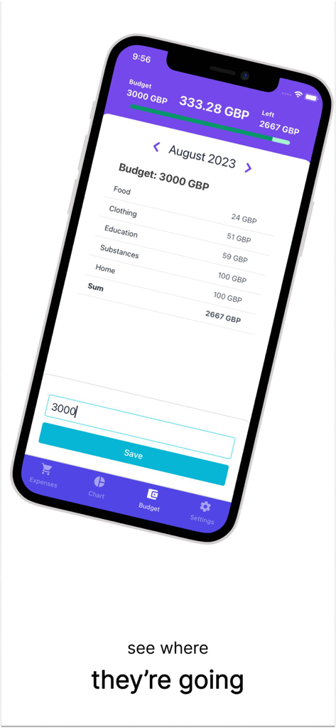 BudgetSense Ninja app interface showing monthly budget breakdown and expense categories