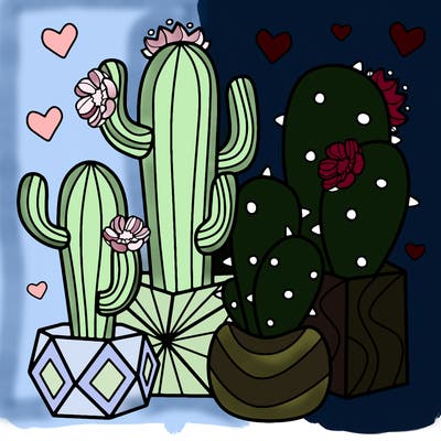 flowers_24_new