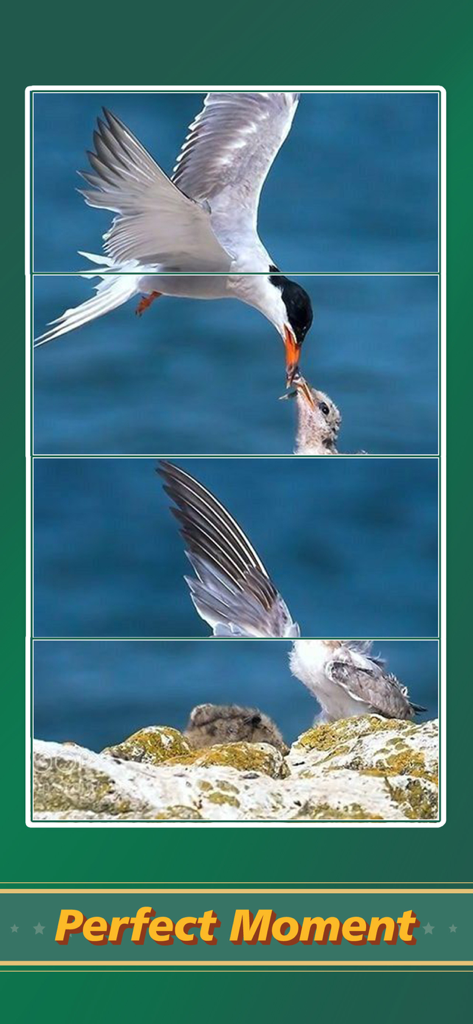Jigsaw Puzzle Art: Relax Book - A jigsaw puzzle game screen showing a bird feeding its chick on rocks with the text Perfect Moment