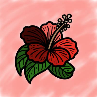 hibiscus flower