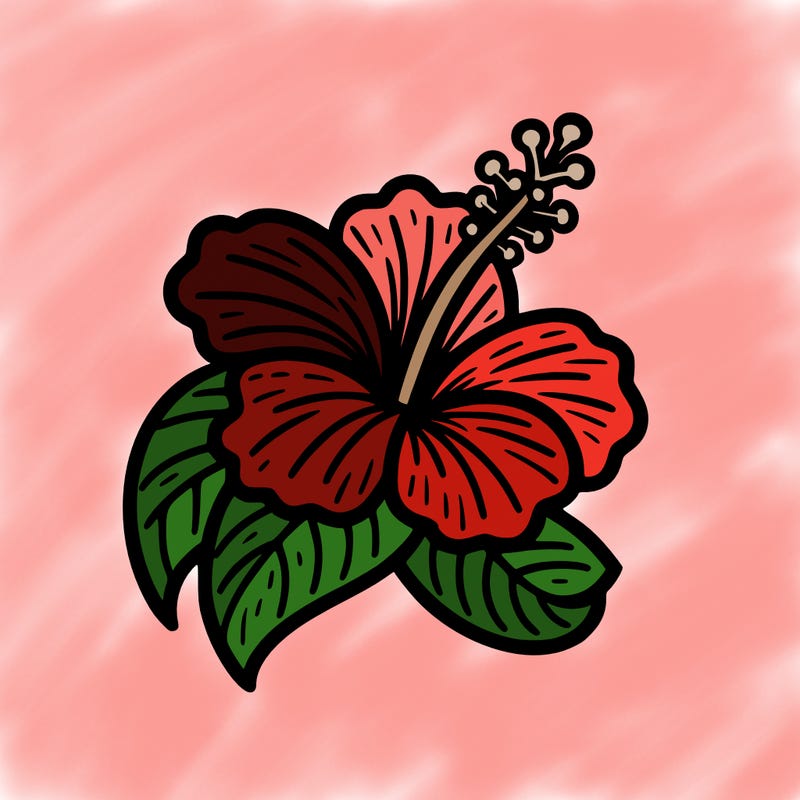 hibiscus flower