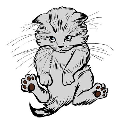 animals_20