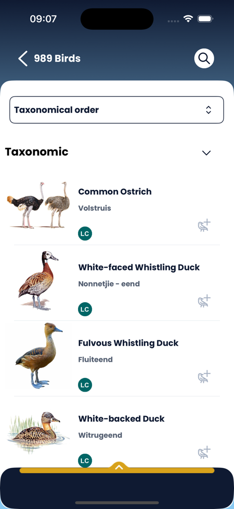 Eine Liste von Vogelarten in der Roberts Vögel App, sortiert nach taxonomischer Reihenfolge, mit Illustrationen des Gemeinen Straußes und der Pfeifenden Enten.