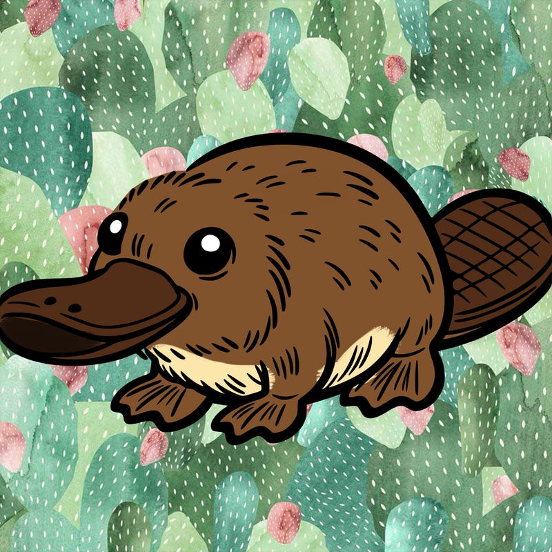 platypus