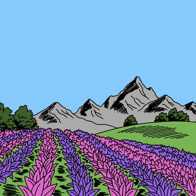 places_08