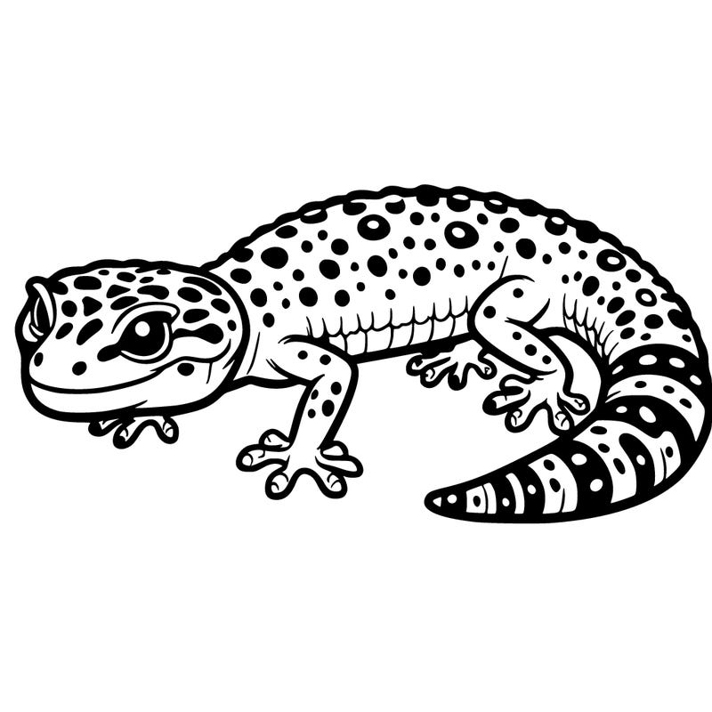 leopard gecko