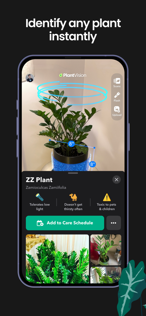 Greg: Plant Identifier & Care - Gregアプリのインターフェース。PlantVisionがZZプラントを識別し、ケアのヒントとケアスケジュールに追加するボタンを表示。