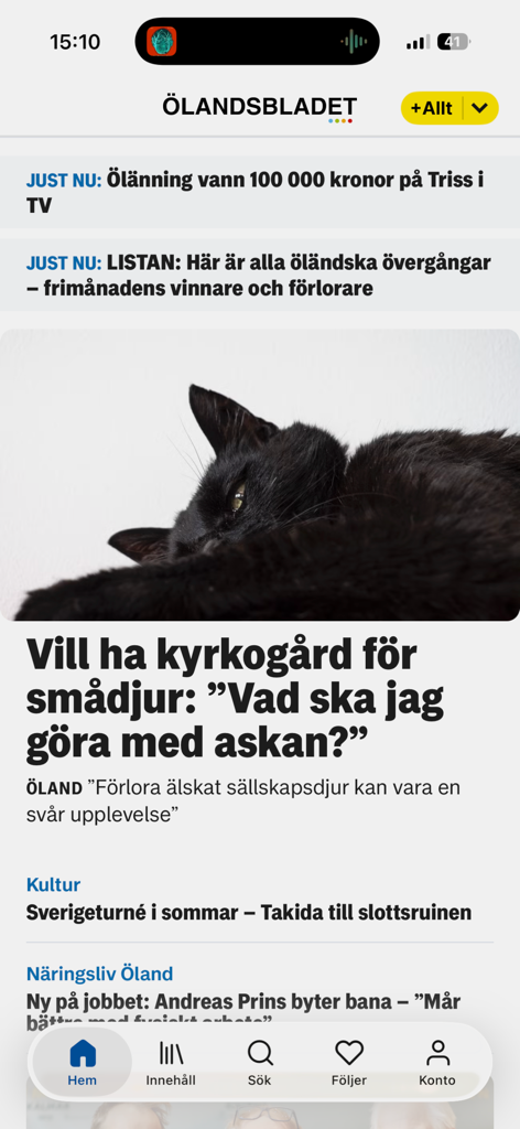 Interface of the Olandsbladet news app showing a local headline and a black cat.