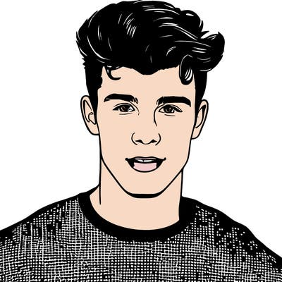 shawn mendes