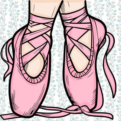 ballet shoes