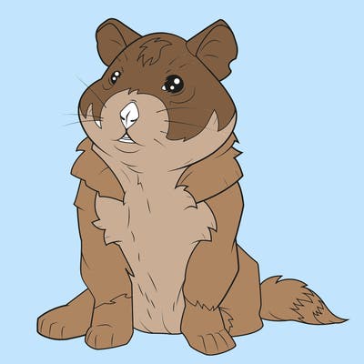 animals_59