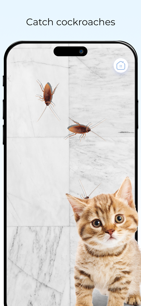 Games for Cats Cat Toy – Meow - A kitten looks at virtual cockroaches on an iPhone screen within the Meow cat toy app.
