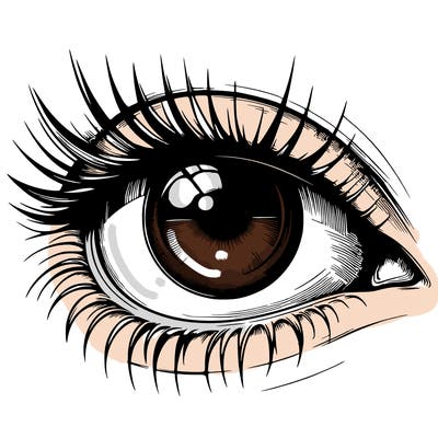realistic eye
