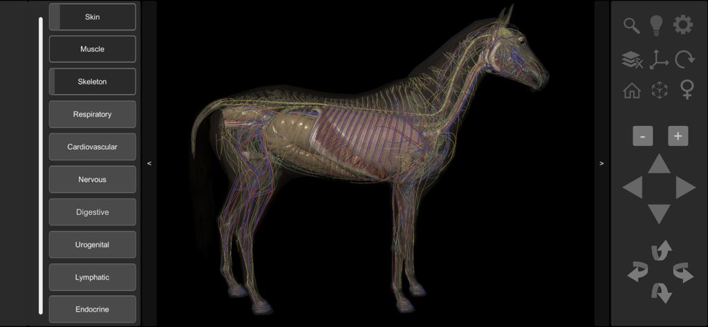 Interface of the 3D Horse Anatomy app showing internal systems and anatomical layer selection menu