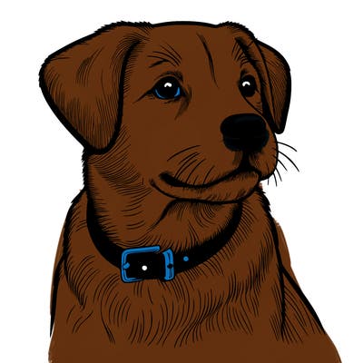 dog realistic