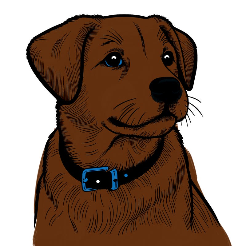 dog realistic