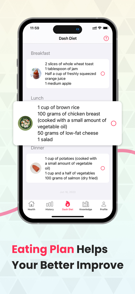 Captura de pantalla de un smartphone de la app Pulser que muestra un plan de alimentación de la dieta DASH con sugerencias de alimentos saludables para el desayuno, el almuerzo y la cena.