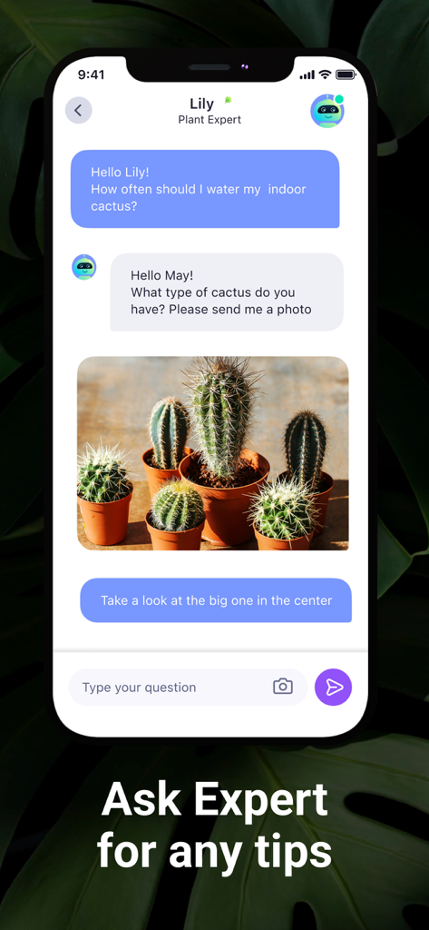 AI Plant Identifier・Care－Lily - A chat interface within the Lily app where a user asks a botanical expert for tips on watering indoor cacti