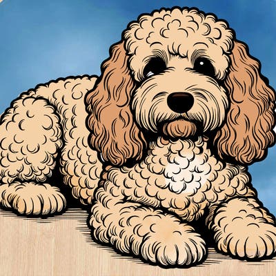 realistic cockapoo lying down