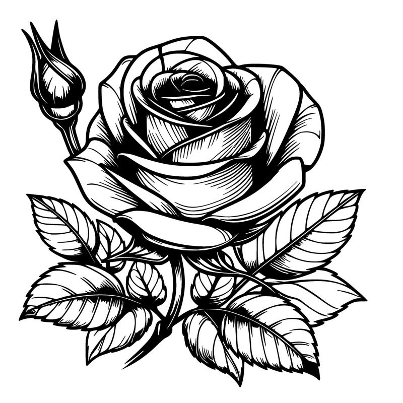 realistic rose