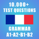 French Grammar Test