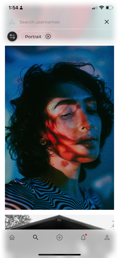 Foto Inc - Foto Inc app interface displaying a search for portrait photography with a high quality artistic image