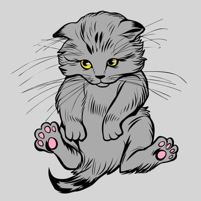 animals_20