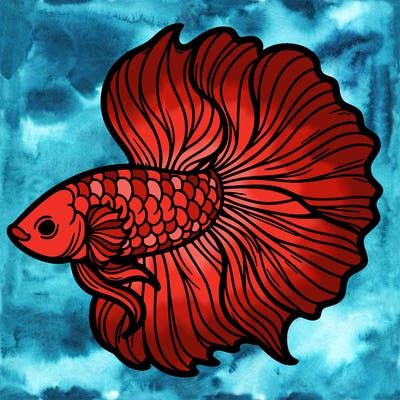 betta fish