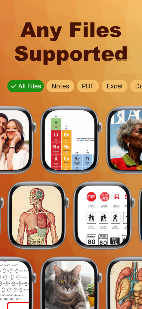 PDF Watch Viewer App by Watchy - Apple Watch screen showing different document types like charts and diagrams in Watchy app