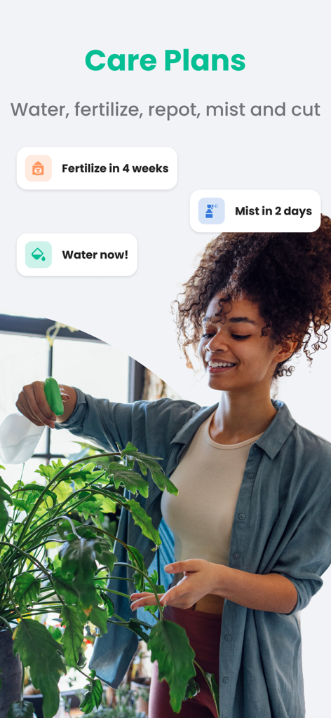 PlantIn: Plant Identifier・Care - A woman misting a houseplant with PlantIn app notifications for watering and fertilizing tasks.