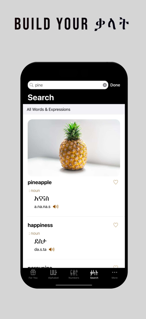 Amharic - Language Guide - Amharic Language Guide app interface showing vocabulary search results with images and Amharic script