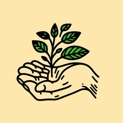 hand with plant