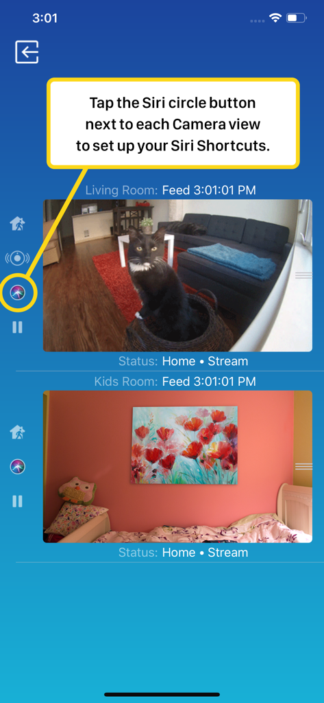 Interfaz de teléfono inteligente de Watch Cam para Nest Cam que muestra transmisiones de cámara en vivo y configuración de atajos de Siri