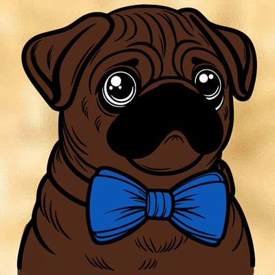 a pug dog wearing a bow tie