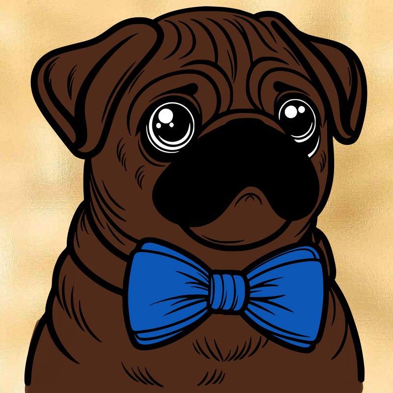 a pug dog wearing a bow tie
