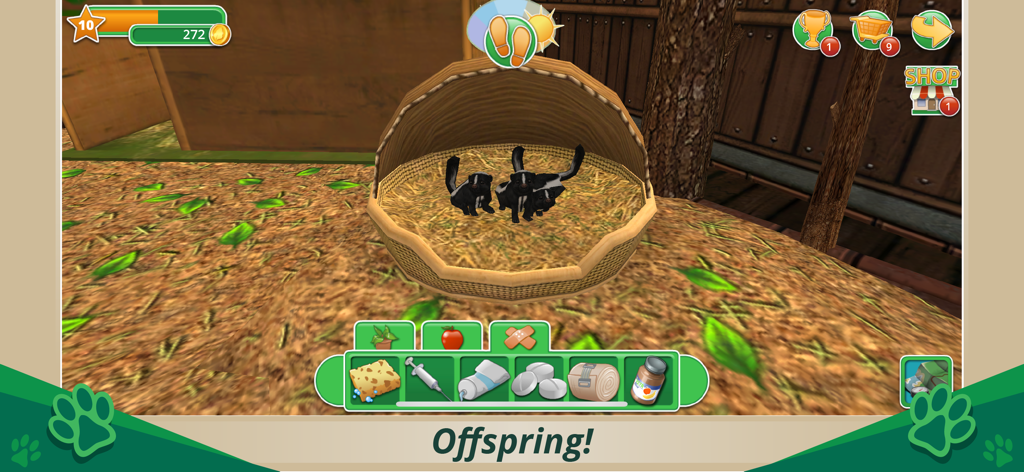 Cuidando crías de zorrillo en un nido usando herramientas veterinarias en Pet World WildLife America