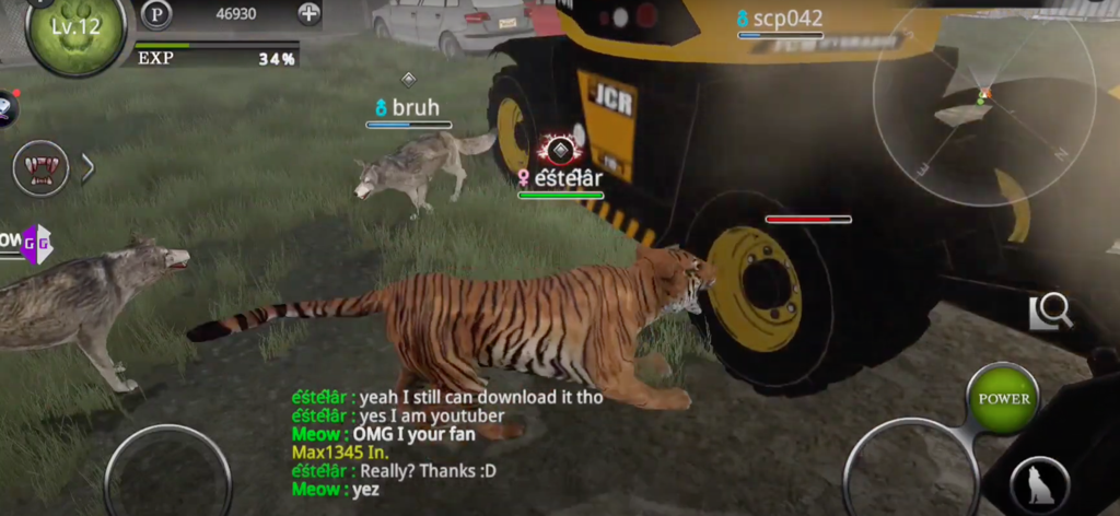 Um tigre e lobos interagem perto de um veículo no jogo de sobrevivência multiplayer Wild Animals Online com o chat dos jogadores ativo