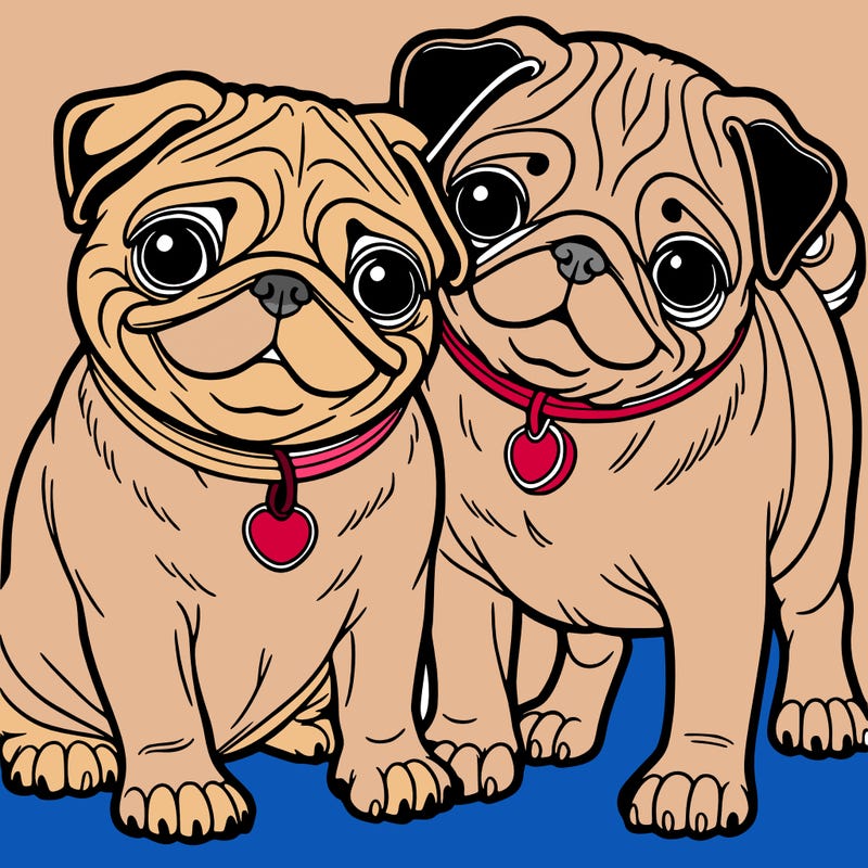 pugs