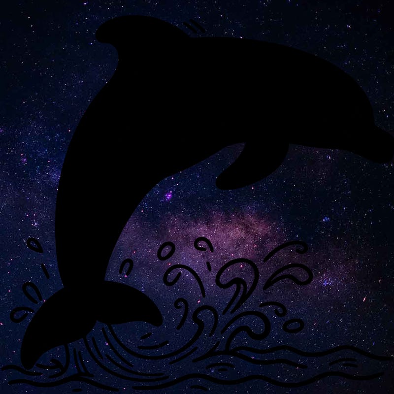 dolphin
