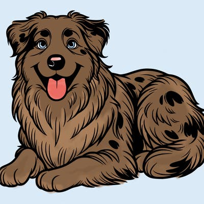 australian shepherd dog