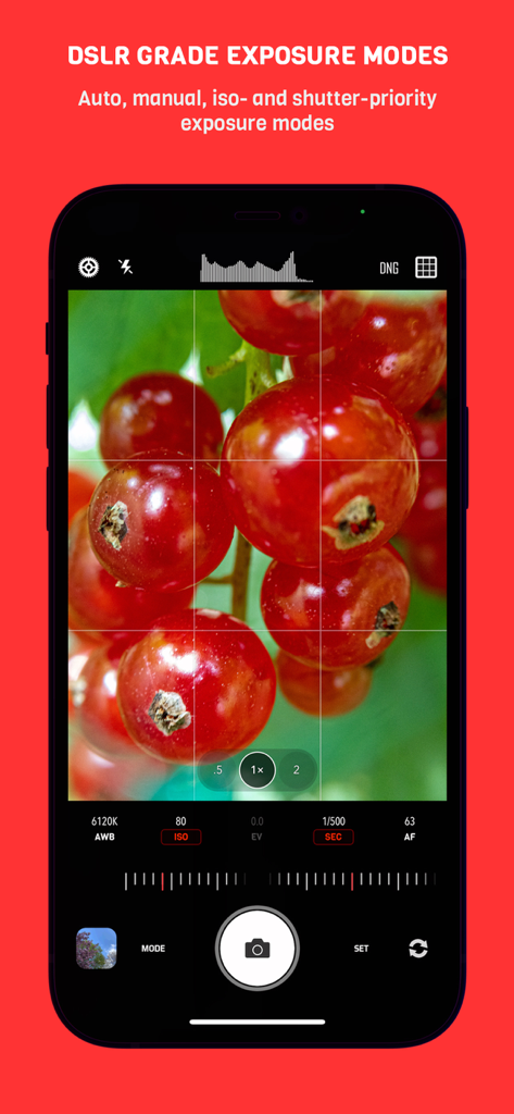 CameraPixels PRO - CameraPixels PRO app interface showing manual DSLR grade exposure modes with a macro photo of red berries