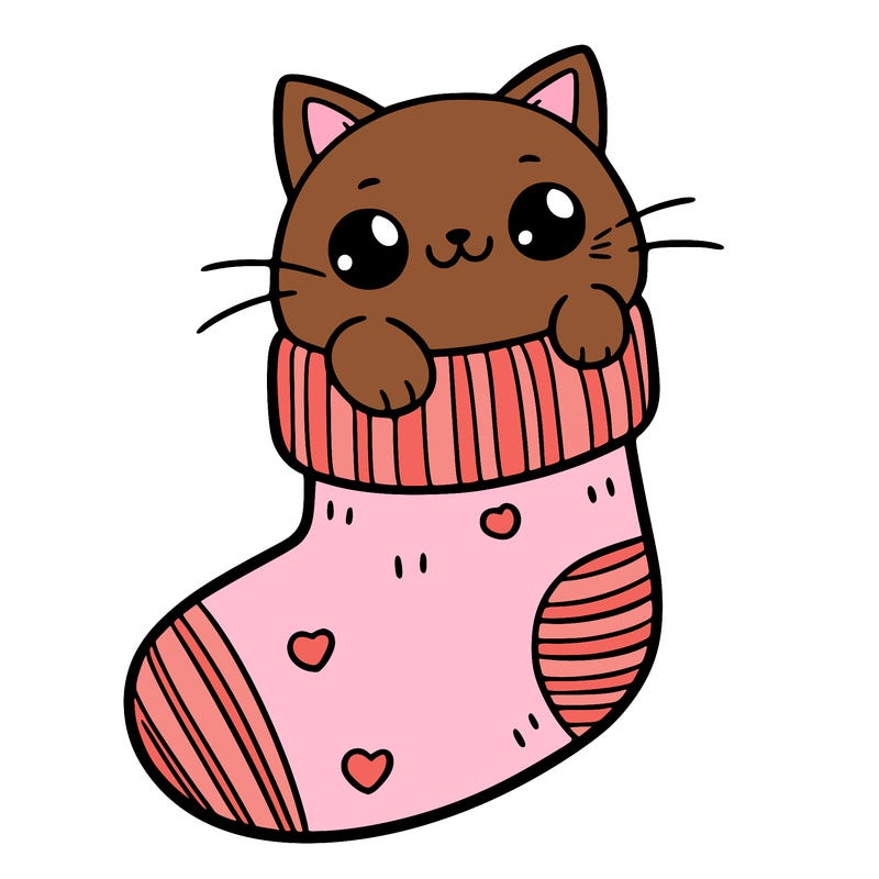 cute cat in a sock