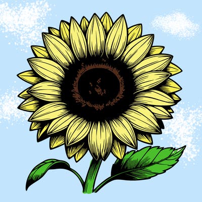 realistic sunflower