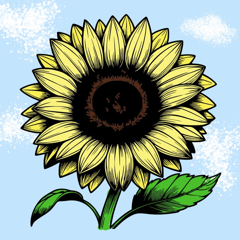 realistic sunflower