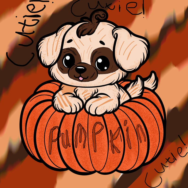 cute little puppy in a pumpkin
